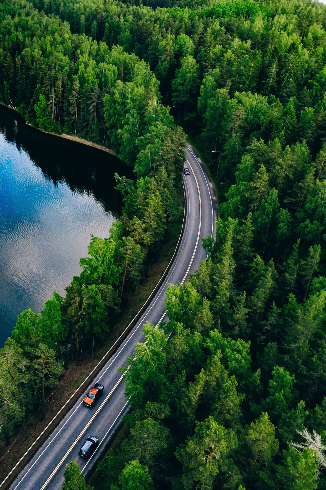Fotografi som föreställer en grön skog och en sjö. Skogen speglas i vattnet. En bilväg syns i höger hörn och på den kör det flera bilar.